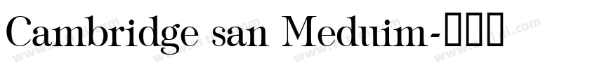 Cambridge san Meduim字体转换